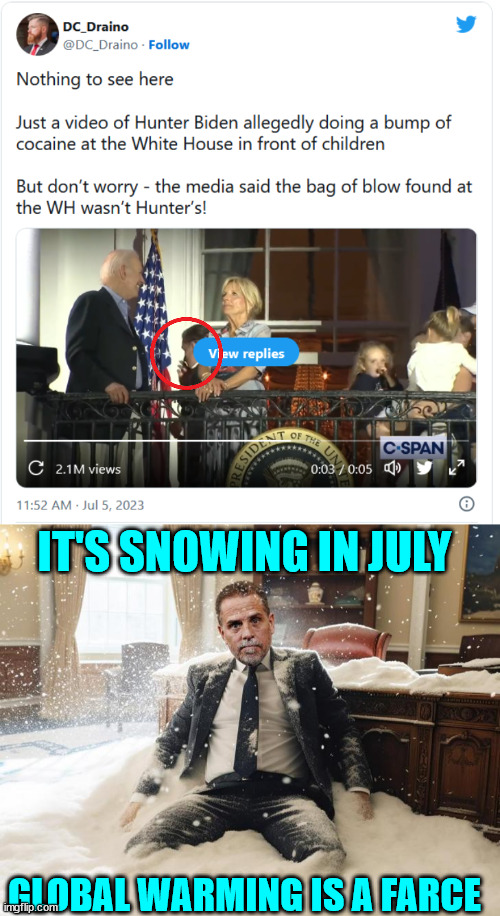 Seasons greetings from the Biden Crime Family | IT'S SNOWING IN JULY; GLOBAL WARMING IS A FARCE | image tagged in happy,4th of july,biden,crime,family | made w/ Imgflip meme maker