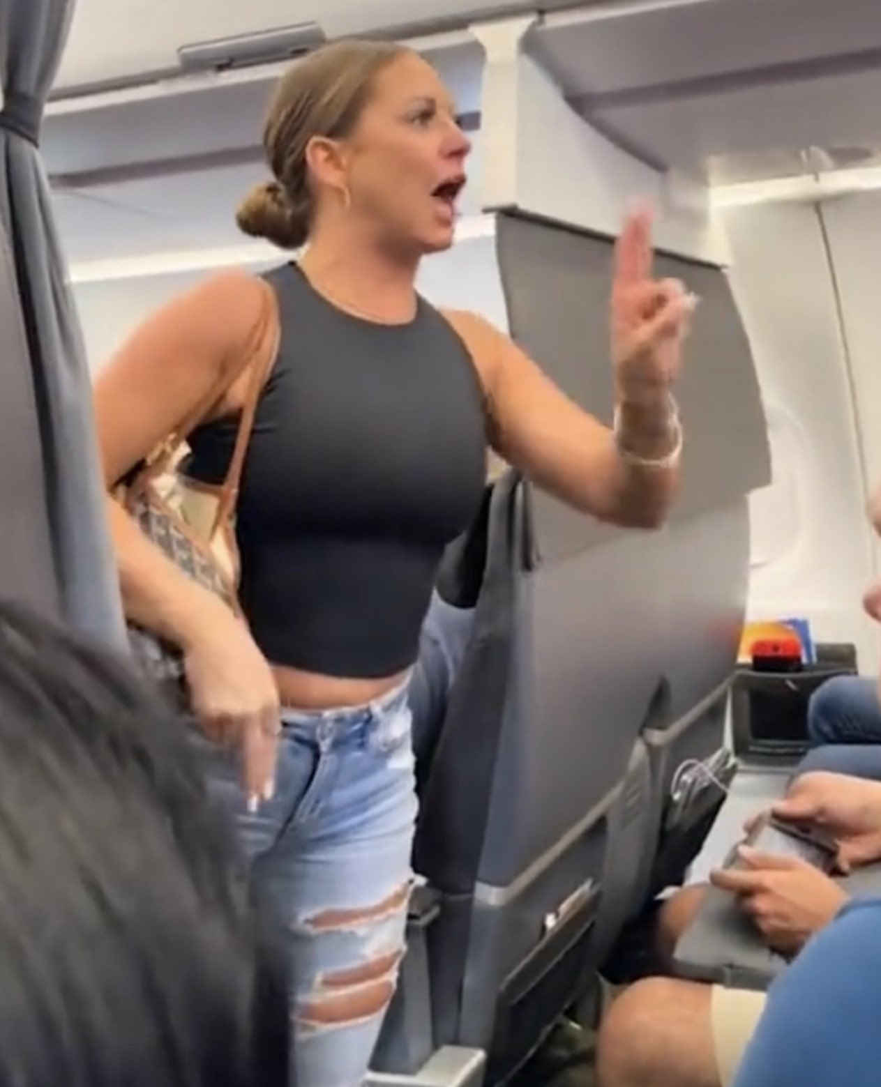 High Quality Plane Lady Not Real Blank Meme Template
