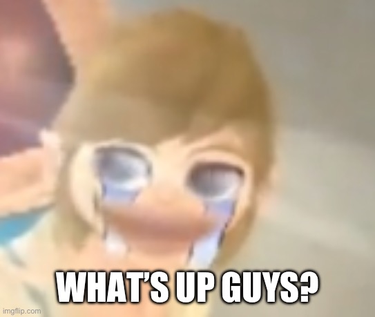 E | WHAT’S UP GUYS? | made w/ Imgflip meme maker