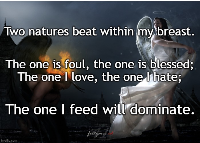Two natures beat within my breast. The one is foul, the one is blessed;
The one I love, the one I hate;; The one I feed will dominate. | image tagged in morality | made w/ Imgflip meme maker