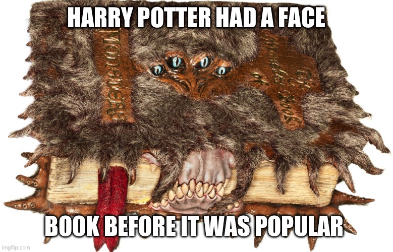 I can’t find this one online but I know it’s made the rounds | HARRY POTTER HAD A FACE; BOOK BEFORE IT WAS POPULAR | image tagged in harry potter | made w/ Imgflip meme maker
