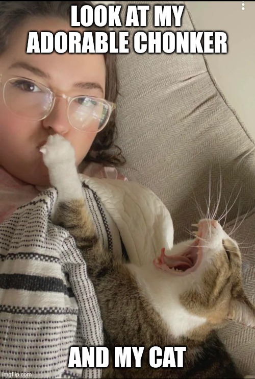 LOOK AT MY ADORABLE CHONKER; AND MY CAT | made w/ Imgflip meme maker