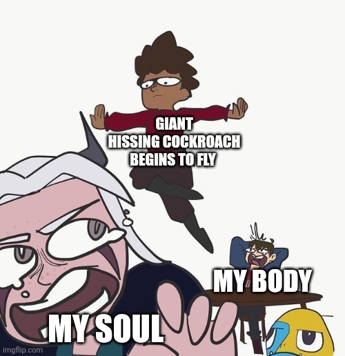 Damn hissing cockroache | GIANT HISSING COCKROACH BEGINS TO FLY; MY BODY; MY SOUL | image tagged in floating ezran | made w/ Imgflip meme maker