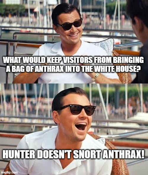 Leonardo Dicaprio Wolf Of Wall Street | WHAT WOULD KEEP VISITORS FROM BRINGING A BAG OF ANTHRAX INTO THE WHITE HOUSE? HUNTER DOESN'T SNORT ANTHRAX! | image tagged in memes,leonardo dicaprio wolf of wall street | made w/ Imgflip meme maker