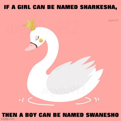 image tagged in sharkesha,swanesho,names,shark,swan,animals | made w/ Imgflip meme maker