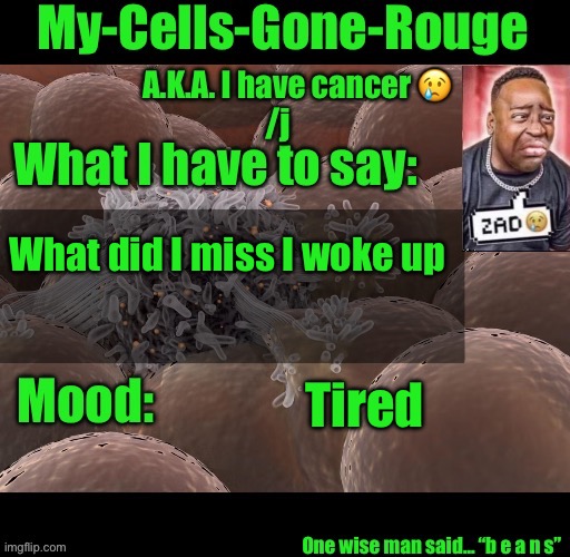 My-Cells-Gone-Rouge announcement | What did I miss I woke up; Tired | image tagged in my-cells-gone-rouge announcement | made w/ Imgflip meme maker