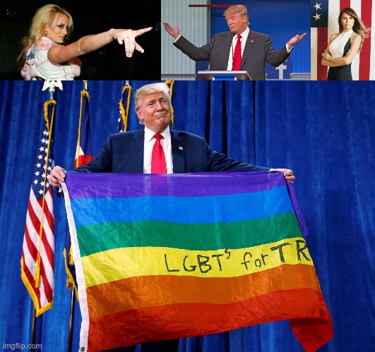 image tagged in stormy daniels,trump shrugging shoulders,melania trump,trump lgbt flag | made w/ Imgflip meme maker