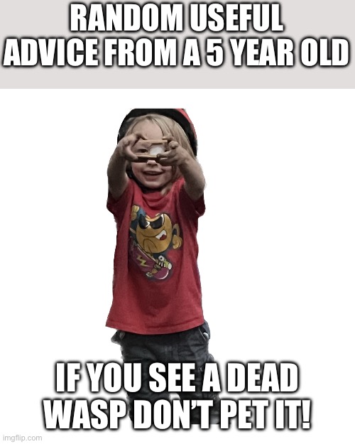 Advice 5 year old | RANDOM USEFUL ADVICE FROM A 5 YEAR OLD; IF YOU SEE A DEAD WASP DON’T PET IT! | image tagged in s more | made w/ Imgflip meme maker