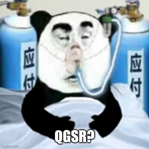 Dying panda | QGSR? | image tagged in dying panda | made w/ Imgflip meme maker