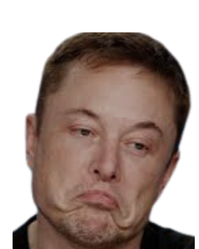 Crying Elon Blank Meme Template
