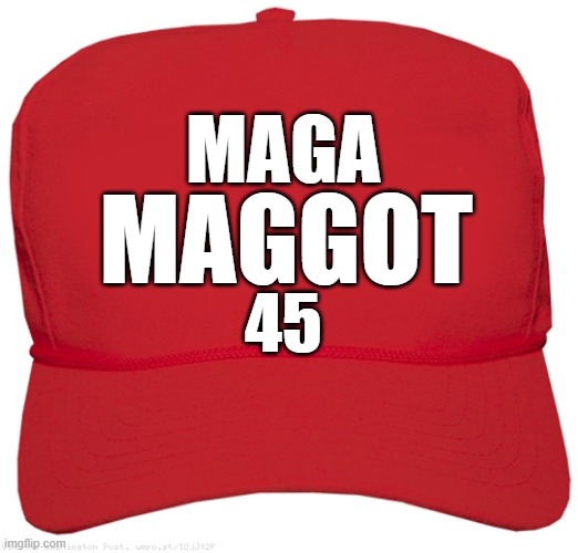 red MAGA hat | MAGA; MAGGOT; 45 | image tagged in blank red maga hat,nevertrump,donald trump is an idiot,anti trump,rino,maga | made w/ Imgflip meme maker