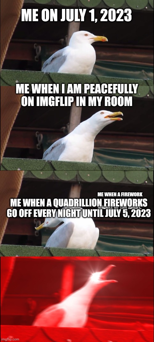 Ugh, Fireworks... -_- | ME ON JULY 1, 2023; ME WHEN I AM PEACEFULLY ON IMGFLIP IN MY ROOM; ME WHEN A FIREWORK GOES OFF IN THE MIDDLE OF THE NIGHT. ME WHEN A QUADRILLION FIREWORKS GO OFF EVERY NIGHT UNTIL JULY 5, 2023 | image tagged in memes,inhaling seagull | made w/ Imgflip meme maker