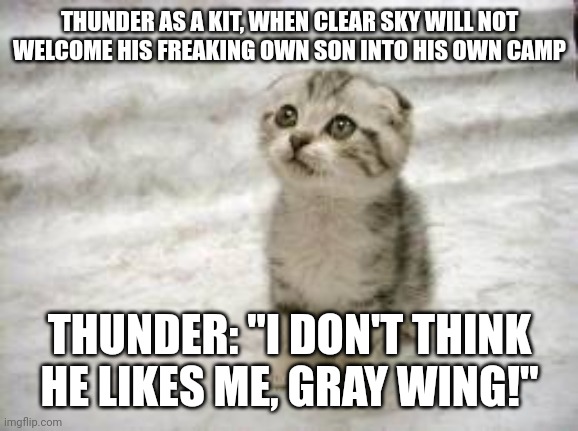Sad Thunder | THUNDER AS A KIT, WHEN CLEAR SKY WILL NOT WELCOME HIS FREAKING OWN SON INTO HIS OWN CAMP; THUNDER: "I DON'T THINK HE LIKES ME, GRAY WING!" | image tagged in memes,sad cat | made w/ Imgflip meme maker