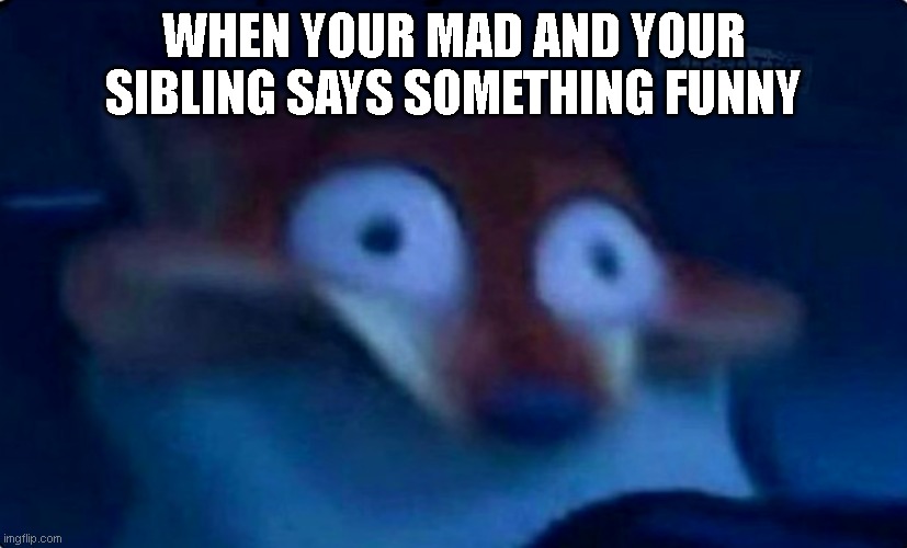 ITS NOT FUNNY | WHEN YOUR MAD AND YOUR SIBLING SAYS SOMETHING FUNNY | image tagged in nick wilde,funny memes,memes,meme,funny,funny meme | made w/ Imgflip meme maker