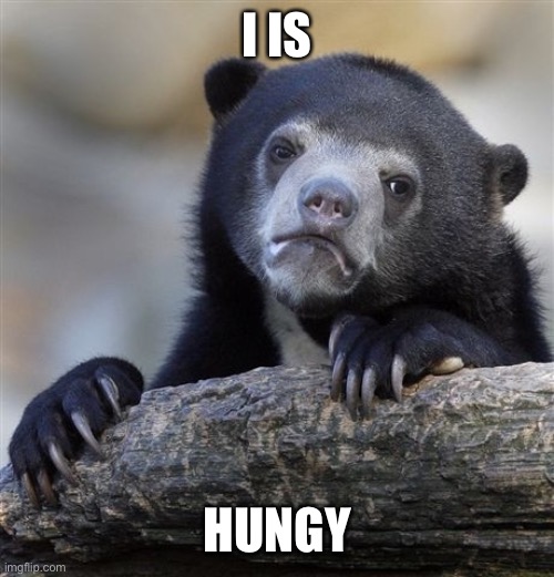 food pwease | I IS; HUNGY | image tagged in memes,confession bear | made w/ Imgflip meme maker