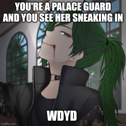 Basic rules apply. If romance straight bi males. Sorry for not posting in a while | YOU'RE A PALACE GUARD AND YOU SEE HER SNEAKING IN; WDYD | made w/ Imgflip meme maker