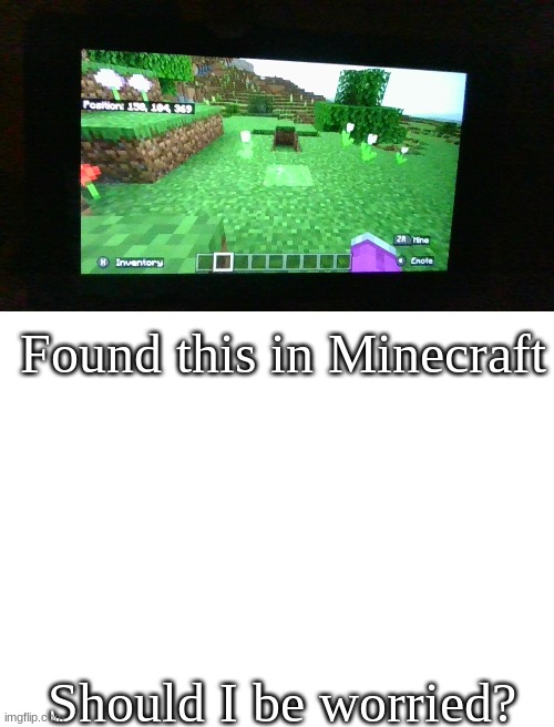 Randomly found it. Ask for the seed if you want to investigate and the position is right there | Found this in Minecraft; Should I be worried? | image tagged in blank white template | made w/ Imgflip meme maker