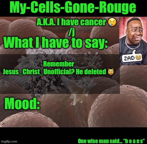 My-Cells-Gone-Rouge announcement | Remember Jesus_Christ_Unofficial? He deleted 😼 | image tagged in my-cells-gone-rouge announcement | made w/ Imgflip meme maker