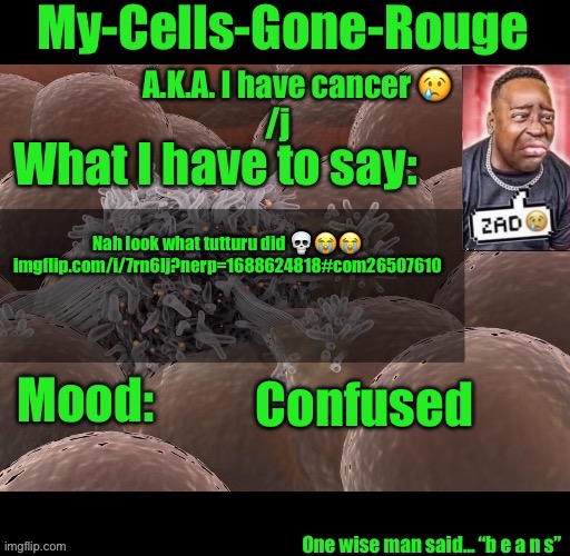My-Cells-Gone-Rouge announcement | Nah look what tutturu did 💀😭😭 imgflip.com/i/7rn6lj?nerp=1688624818#com26507610; Confused | image tagged in my-cells-gone-rouge announcement | made w/ Imgflip meme maker
