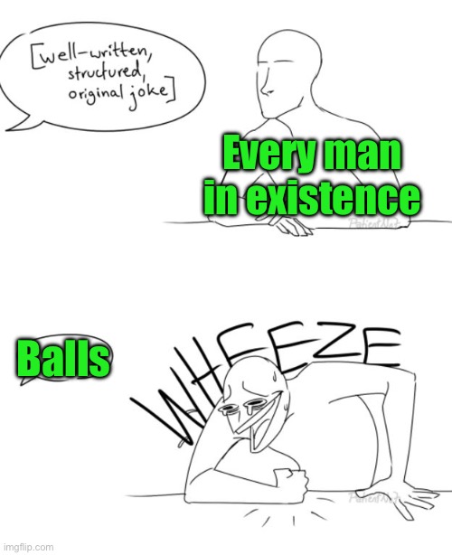 Wheeze | Every man in existence; Balls | image tagged in wheeze | made w/ Imgflip meme maker