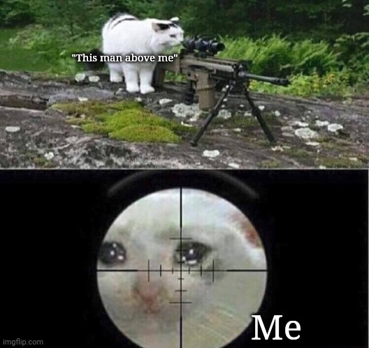 Sniper cat | "This man above me"; Me | image tagged in sniper cat | made w/ Imgflip meme maker