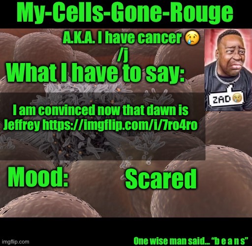 My-Cells-Gone-Rouge announcement | I am convinced now that dawn is Jeffrey https://imgflip.com/i/7ro4ro; Scared | image tagged in my-cells-gone-rouge announcement | made w/ Imgflip meme maker