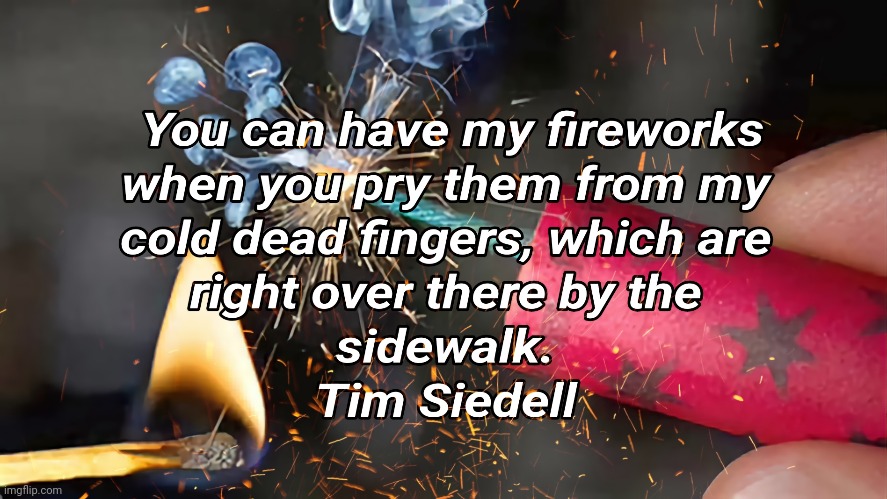 Fireworks Safety | image tagged in fireworks,safety,funny,words of wisdom | made w/ Imgflip meme maker