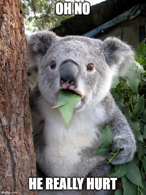 OH NO HE REALLY HURT | image tagged in memes,surprised koala | made w/ Imgflip meme maker