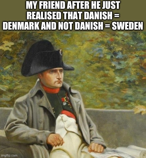 He’s like an average American 14 year old- | MY FRIEND AFTER HE JUST REALISED THAT DANISH = DENMARK AND NOT DANISH = SWEDEN | image tagged in funny | made w/ Imgflip meme maker