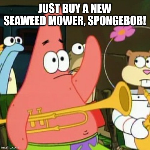 No Patrick Meme | JUST BUY A NEW SEAWEED MOWER, SPONGEBOB! | image tagged in memes,no patrick | made w/ Imgflip meme maker