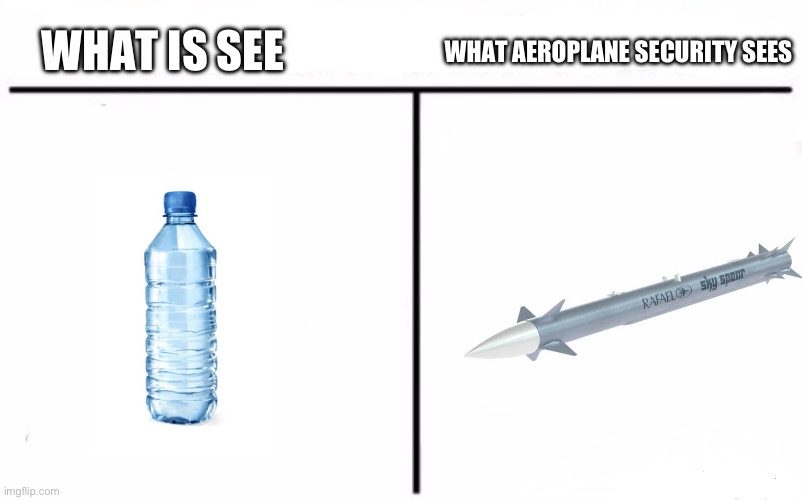 Average security in the airport | WHAT AEROPLANE SECURITY SEES; WHAT IS SEE | image tagged in so true memes | made w/ Imgflip meme maker