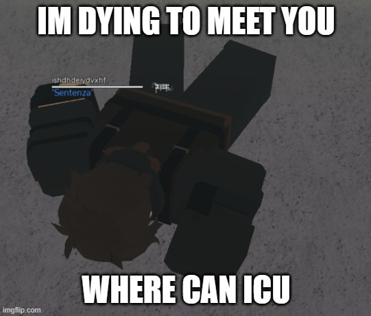 DM's be like: | IM DYING TO MEET YOU; WHERE CAN ICU | image tagged in fun | made w/ Imgflip meme maker