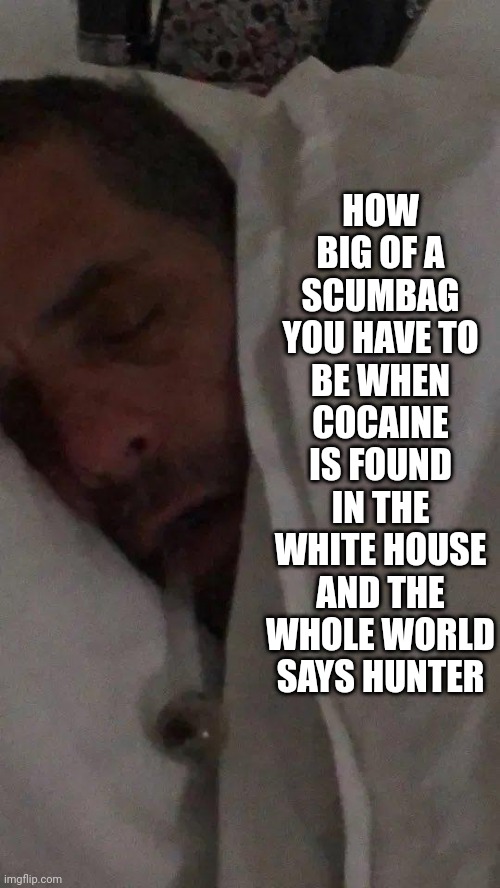Hunter Biden crack pipe | HOW BIG OF A SCUMBAG YOU HAVE TO BE WHEN COCAINE IS FOUND IN THE WHITE HOUSE AND THE WHOLE WORLD SAYS HUNTER | image tagged in hunter biden crack pipe | made w/ Imgflip meme maker