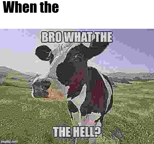 Bro what the the hell? | When the | image tagged in bro what the the hell | made w/ Imgflip meme maker