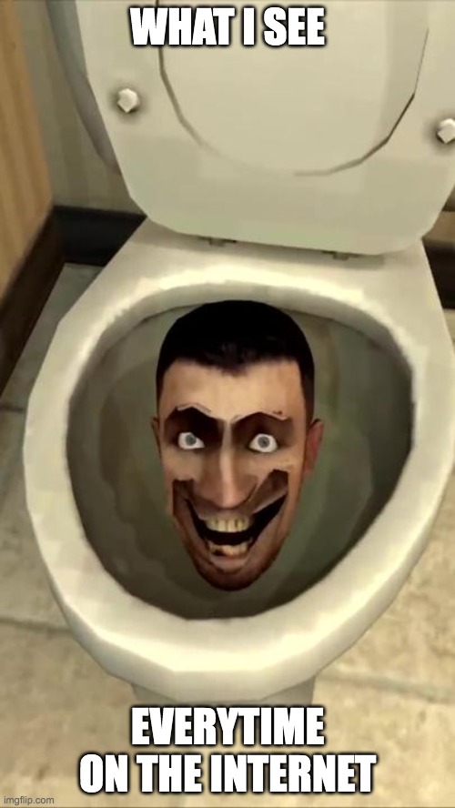 Skibidi toilet | WHAT I SEE; EVERYTIME ON THE INTERNET | image tagged in skibidi toilet | made w/ Imgflip meme maker