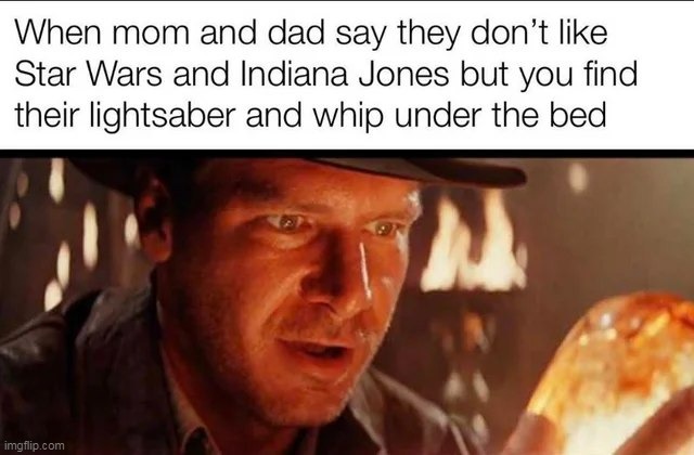 The lightsaber smells funny | image tagged in indiana jones,repost,starwars,lightsaber,whip,mom | made w/ Imgflip meme maker