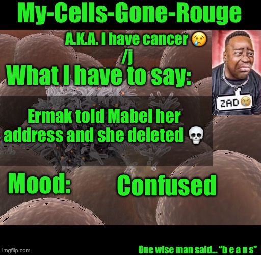 My-Cells-Gone-Rouge announcement | Ermak told Mabel her address and she deleted 💀; Confused | image tagged in my-cells-gone-rouge announcement | made w/ Imgflip meme maker