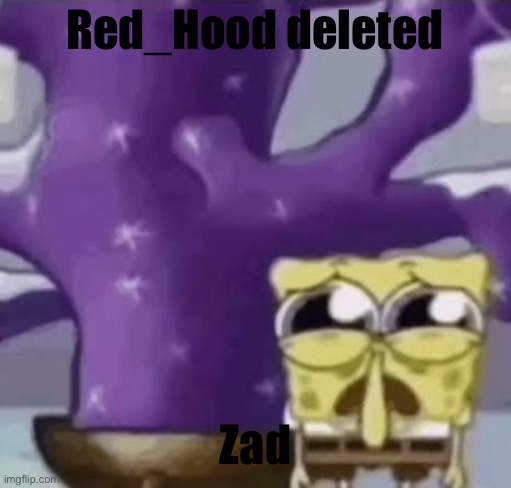 Zad Spunchbop | Red_Hood deleted; Zad | image tagged in zad spunchbop | made w/ Imgflip meme maker