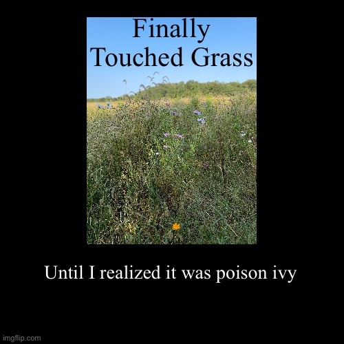Finally Touched Grass | Until I realized it was poison ivy | image tagged in funny,demotivationals | made w/ Imgflip demotivational maker