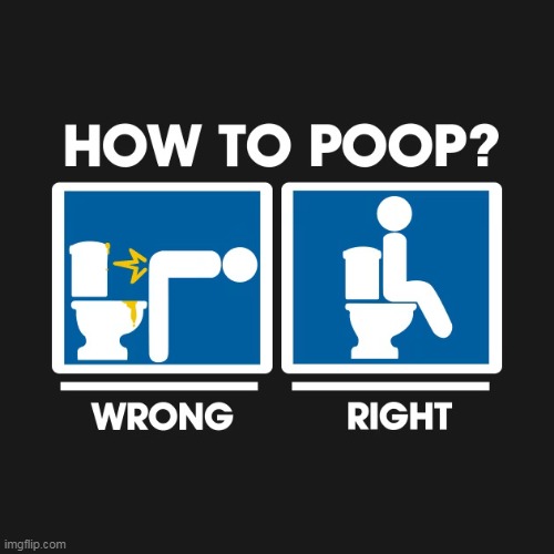 How to poop? | image tagged in poop,repost,bathroom,shit,nasty | made w/ Imgflip meme maker