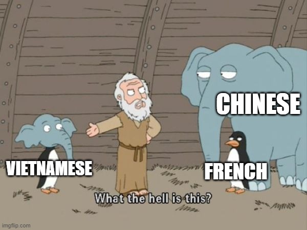 What the hell is this? | CHINESE; FRENCH; VIETNAMESE | image tagged in what the hell is this | made w/ Imgflip meme maker