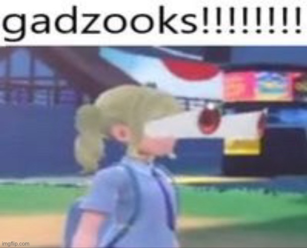 gadzooks!!!!!!!! | made w/ Imgflip meme maker