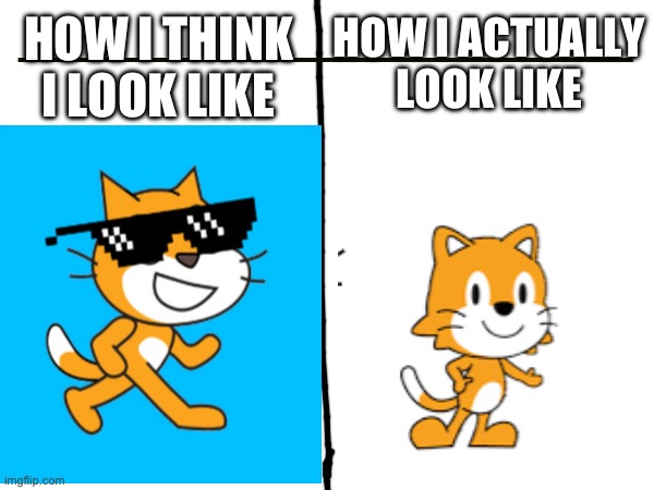 meme | HOW I THINK I LOOK LIKE; HOW I ACTUALLY LOOK LIKE | image tagged in scratch,scratchjr,how i think i look | made w/ Imgflip meme maker