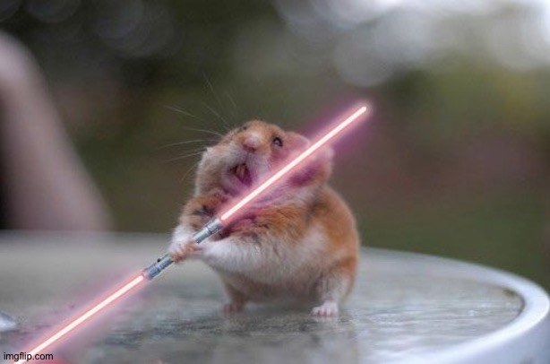 Star Wars hamster | image tagged in star wars hamster | made w/ Imgflip meme maker