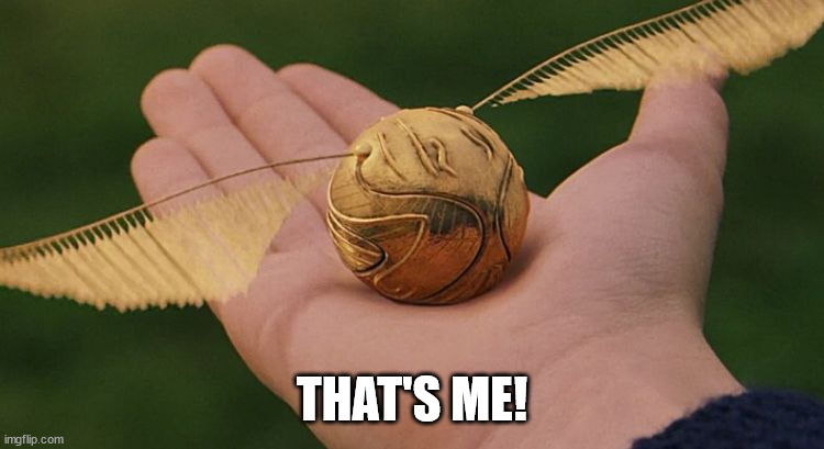 The Golden Snitch | THAT'S ME! | image tagged in the golden snitch | made w/ Imgflip meme maker