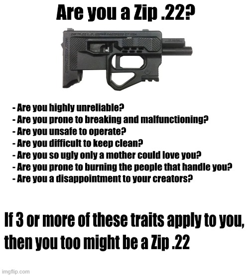 Are you a Zip .22? | image tagged in guns,meme | made w/ Imgflip meme maker