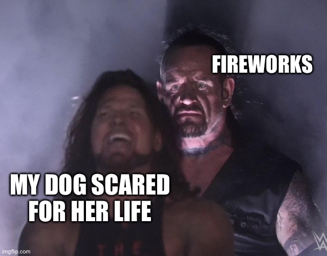 undertaker | FIREWORKS; MY DOG SCARED FOR HER LIFE | image tagged in undertaker | made w/ Imgflip meme maker