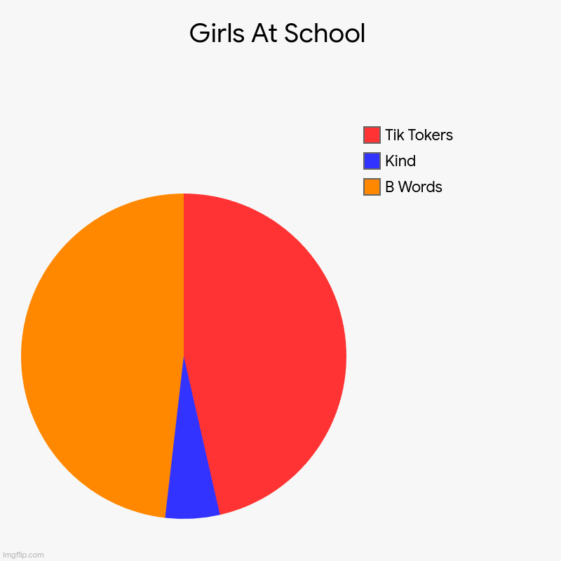 POV: Girls At School | Girls At School | B Words, Kind, Tik Tokers | image tagged in charts,pie charts | made w/ Imgflip chart maker