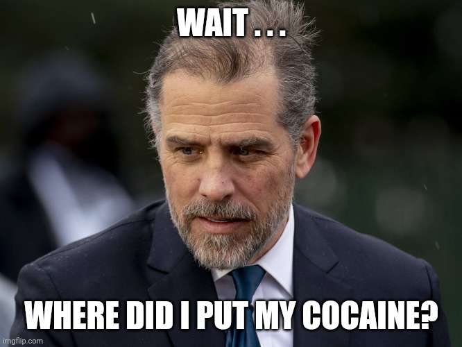 Only the good stuff for the big guy's special son. | WAIT . . . WHERE DID I PUT MY COCAINE? | image tagged in hunter biden,cocaine,white house | made w/ Imgflip meme maker