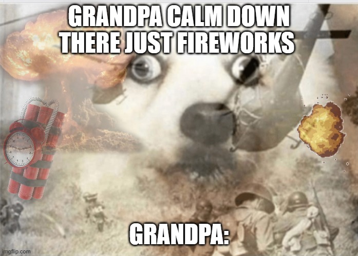 PTSD dog | GRANDPA CALM DOWN THERE JUST FIREWORKS; GRANDPA: | image tagged in ptsd dog | made w/ Imgflip meme maker